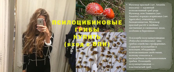 ECSTASY Богородицк