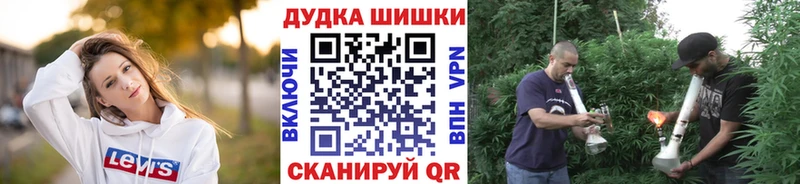Бошки марихуана сатива  как найти закладки  Ефремов 